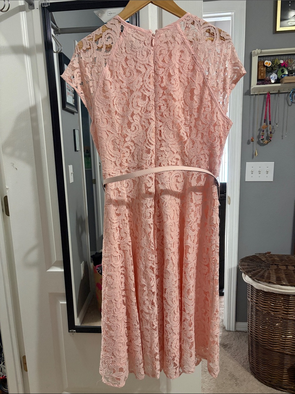 Eva Mendes New York & Company Blush Pink Lace Midi Dress with Belt - Picture 6 of 7